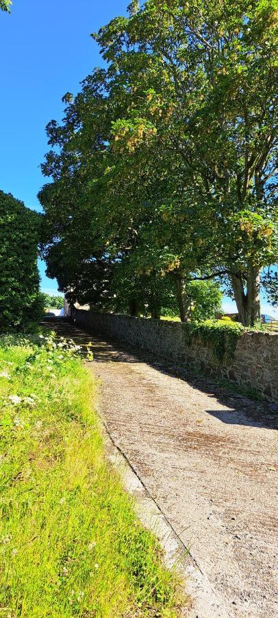 Ardkeen House B&B Exterior foto